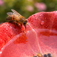 Carica l'immagine nel visualizzatore di Gallery, Magici Fiori delle Api – Abbeveratoi in Ceramica Resistenti alle Intemperie, Set da 4