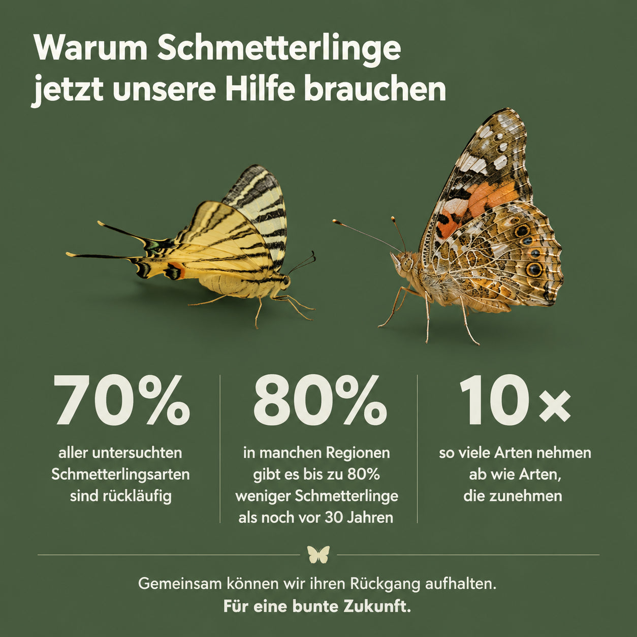 Handgefertigtes Schmetterlingshaus Tropfenform aus Naturholz