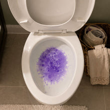 Lade das Bild in den Galerie-Viewer, ReinWerk – Das Original für gründliche Sauberkeit in Rohren und WC